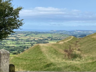 View looking over a Dorset landscape.