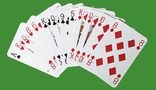 A Bridge hand of 13 cards.