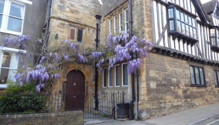 Tudor building in Cheap street Sherborne with wisteria over stone arched door. Lovely hamstone facade.