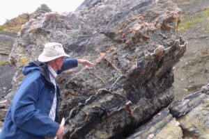 Alabaster conjugate veins, dark grey marls east end of Blue Anchor beach Jul 2024