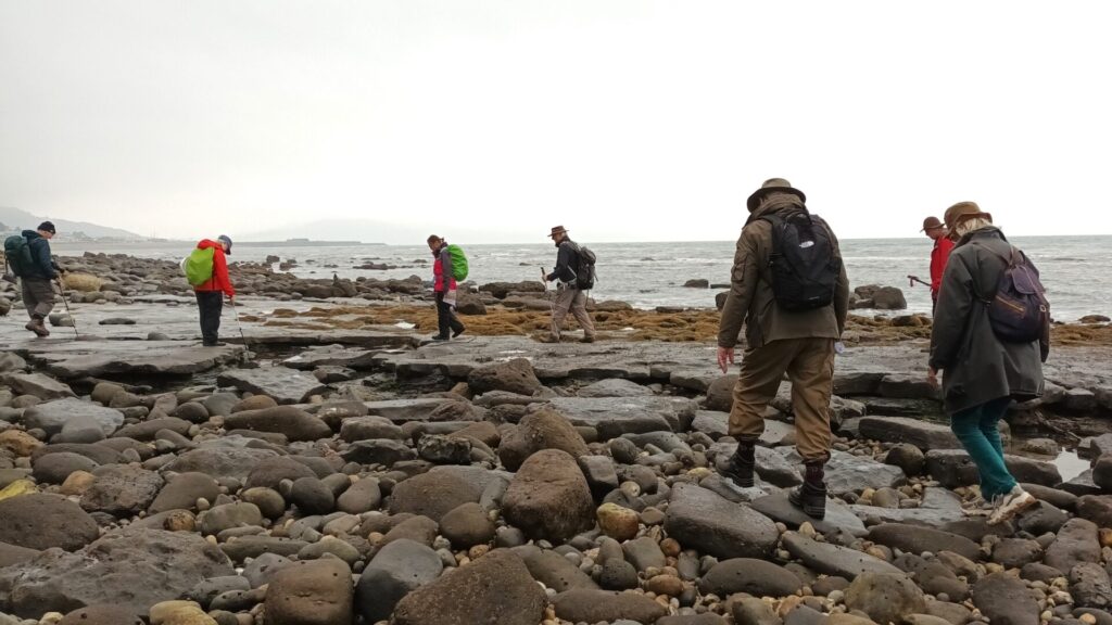 Blue Lias ledges west of Lyme Regis, Oct 2024