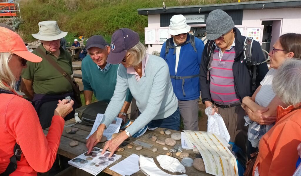Budleigh beach pebbles u3a inspection Oct 2023