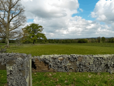 Walk Group 1 View from Melbury Park 2 Walk Group 1 View from Melbury Park House over a lichen covered fence to the distant hills.